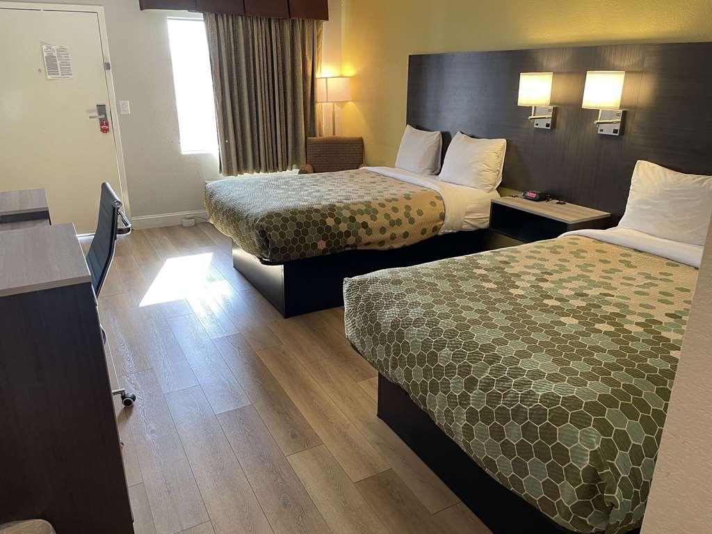 Econo Lodge White Pine Morristown I-81 & I-40 Split Rum bild